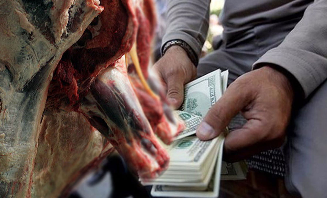 وعده کاهش قیمت گوشت/دست دلال ها را کوتاه می کنیم