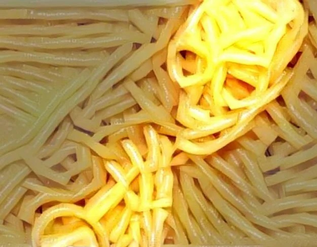 اسپاگتی با طعم ندانم‌کاری